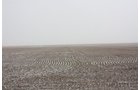 Property photo 38 - Kansas Land Auction - 960 Acres - 7 Farms in 3 Counties
